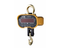 Крановые весы Caston-I